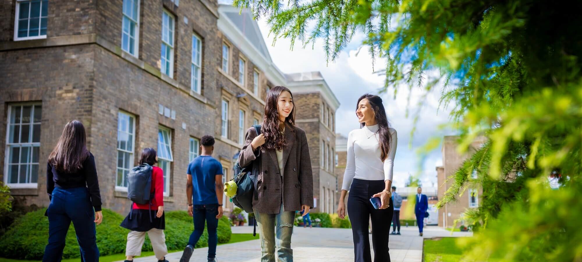 undergraduates